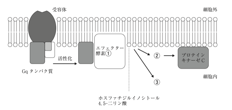 スクリーンショット 2026-07-02 12.28.44.png